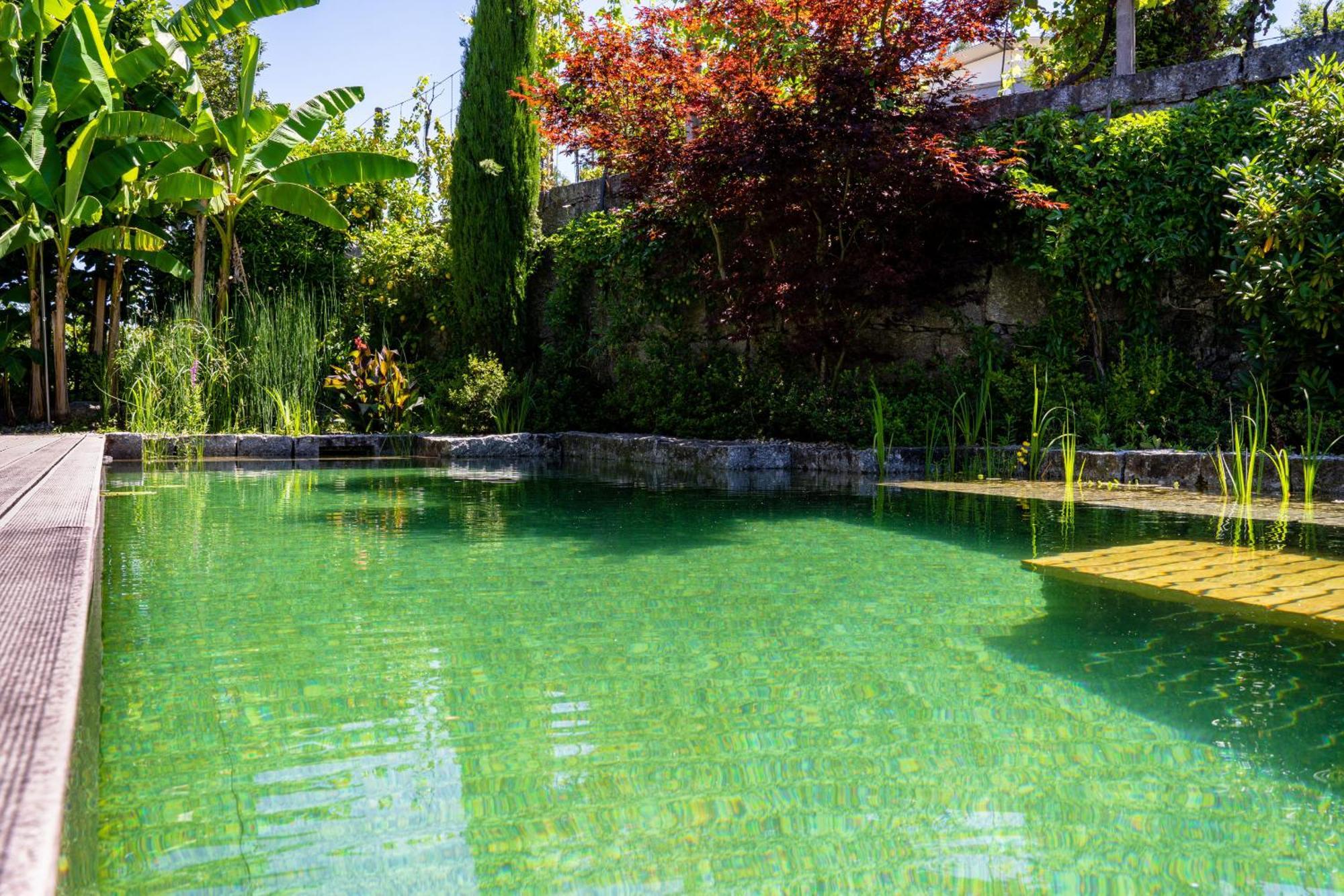 Gondomar Guimaraes - Moradia V3 Com Piscina Natural By House And People Buitenkant foto