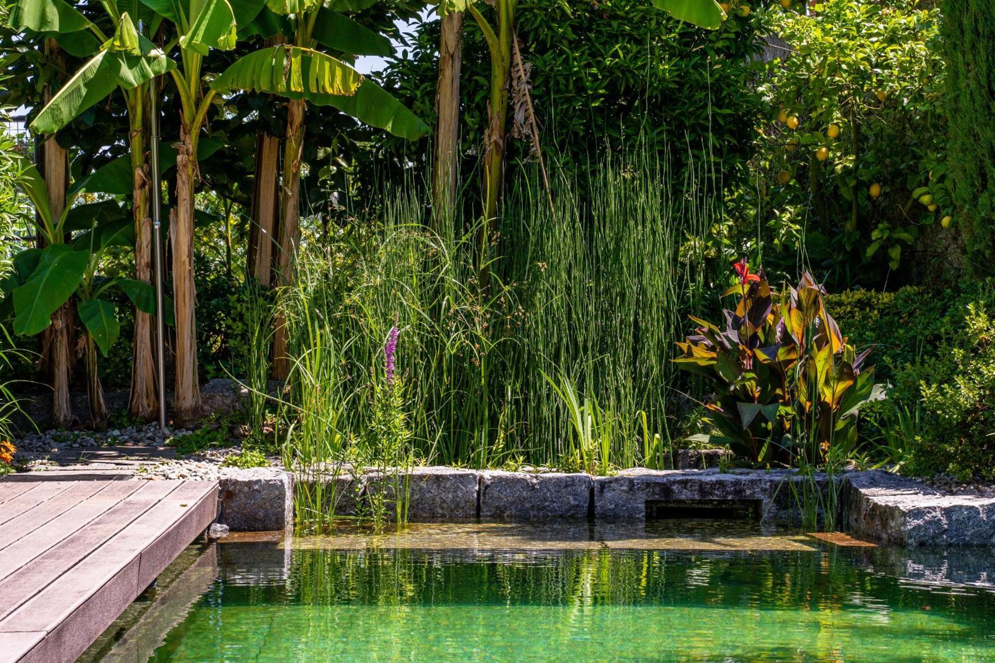 Gondomar Guimaraes - Moradia V3 Com Piscina Natural By House And People Buitenkant foto